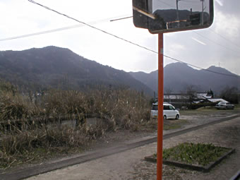 �X�������낷