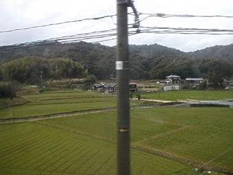 �����t��