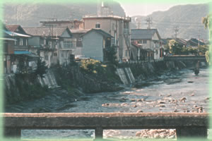 Rn01